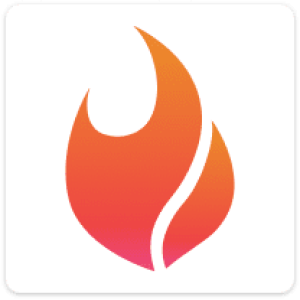 Flame Logo